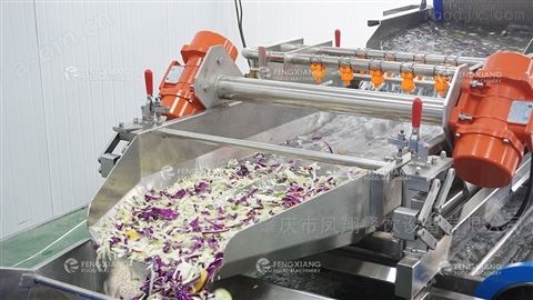 蔬果沙拉净菜生产线供应商