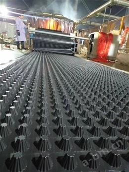 新乡20高车库阻根塑料排水板厂家供应