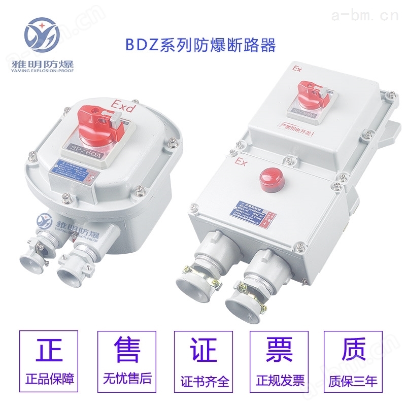 BDZ52-10A-100A防爆断路器 防爆电源控制器